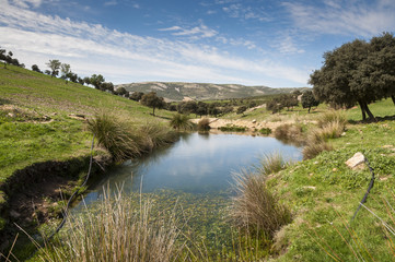 Water hole for cattle in Toledo Mountains, Ciudad Real Province, Spain