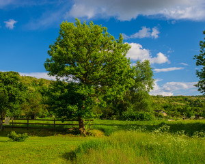 Fototapeta premium landscape in the countrysidet
