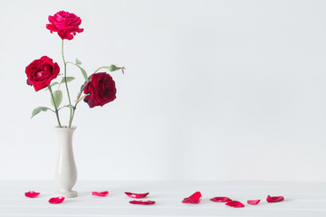 nature morte de rose rouge dans un vase