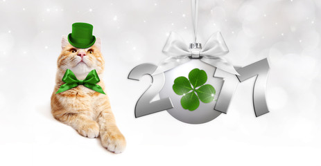 ginger cat with silver christmas ball with green clover, ribbon