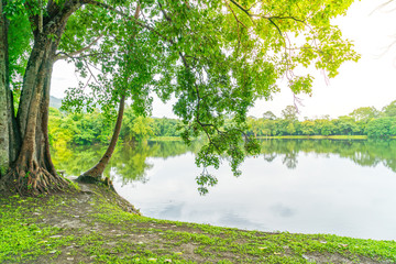 Beautiful green park with lake , Ang Kaew at Chiang Mai Universi