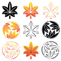 Fototapeta premium The stylized set maple leaves, Japanese symbolism. illustration.