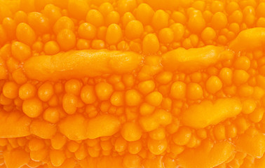 Momordica background