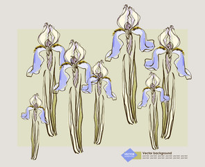 Vector card design  with decorative  iris flower.
