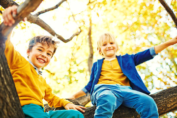 Low angle of two school age boys exploring park, climbing tree and sitting high up among braches, looking happily down at camera and  enjoying play time on warm autumn day