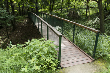 A wooden bridge over a gorge in the forest.