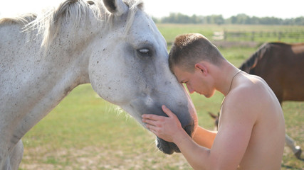 Young handsome man embracing and stroking white horse outdoors. Guy hugging a horse in the field, he caresses and petting the stallion. Love to the animals. Close-up