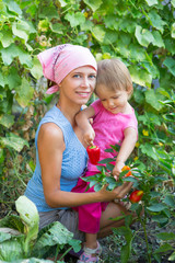 The woman with the child near the beds of pepper