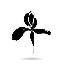 Vector flower logo. Floral background. Stylized calligraphic ink iris.