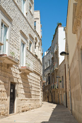 Obraz premium Alleyway. Molfetta. Puglia. Italy. 