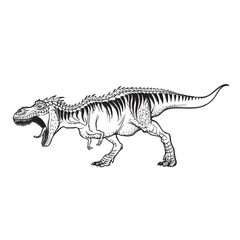 Tyrannosaurus roaring sketch on White background