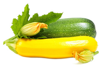 Green and yellow zucchini 