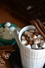 Cup of hot chocolate with marshmallows