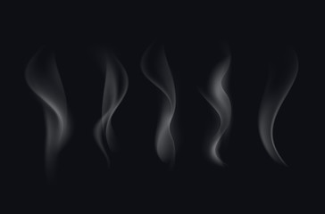 Vector Set of Realistic White Transparent Cigarette Smoke Waves Isolated