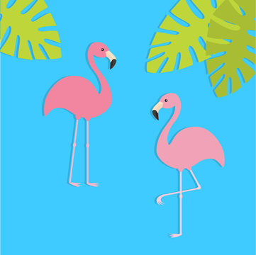 Two pink flamingo set. Exotic tropical bird. Zoo animal collection. Green palm leaves. Cute cartoon character. Decoration element. Flat design. Blue background.