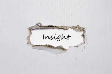 The word insight appearing behind torn paper