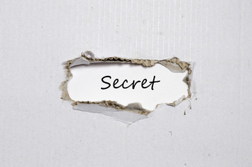 The word secret appearing behind torn paper
