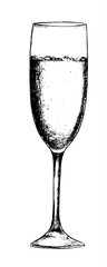 Isolated champagne glass. Black and white etching wine glass for decoration. Elegant tableware.