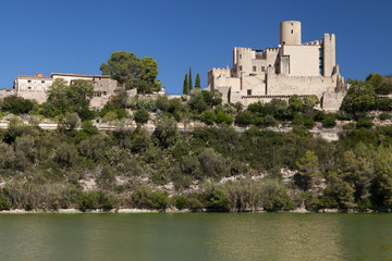 Fototapeta na wymiar Castle of Castellet over the Foix River