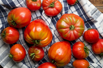 Organiczne wiejskie pomidory