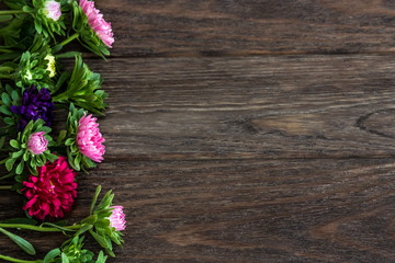 Aster flowers on wooden background. Layout with free text space