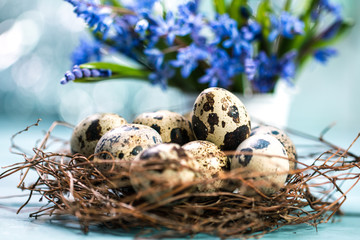 Easter concept with colorful eggs on wooden background