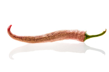 Obraz premium Organic Macedonian Fringed hot chili peppers with green stem.