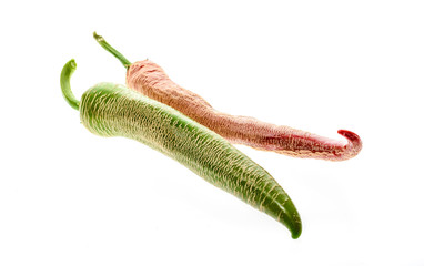 Organic Macedonian Fringed hot chili peppers with green stem.