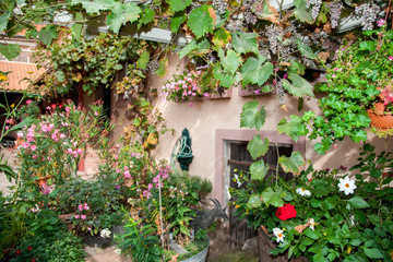 Fototapeta na wymiar Fachwerkhaus mit Blumen und Pflanzen