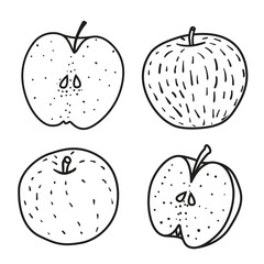 Set of Fresh contour apple. Doodle style.