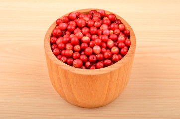 Lingonberry (Vaccinium vitis-idaea)
