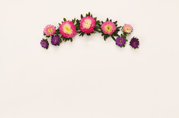 Top view of beautiful pink flowers on white background