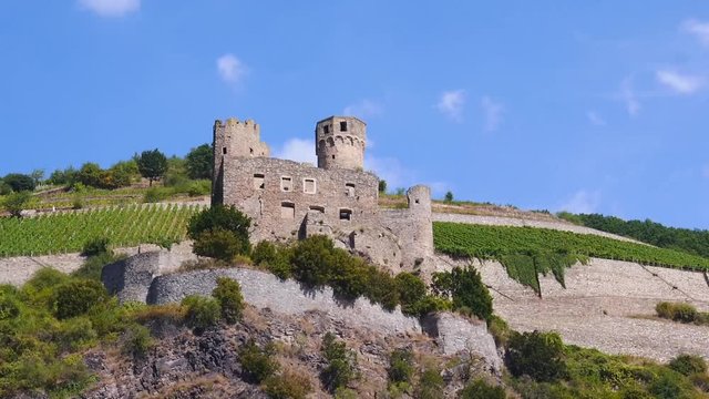 Burg Ehrenfels am Rhein