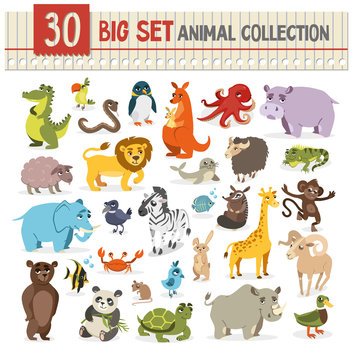 Big  collection of cute wild animal. vector illustration on whit