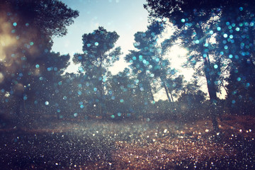 Abstract blurred dreamy woods and glitter bokeh lights