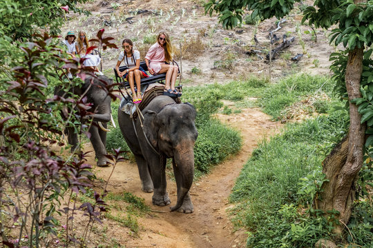 Young tourists go elephant trekking in the jungle
