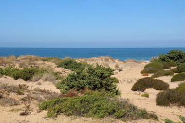 Dünenstrand an der Küste des Lichts