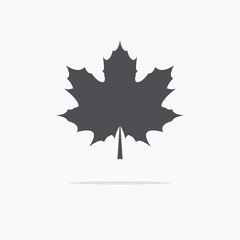 Maple Leaf. Silhouette of the maple leaf. Icon of a maple leaf.