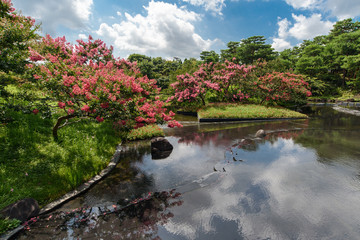 京都　朱雀の庭 