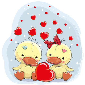 Two Cute Ducks