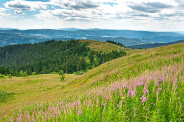 Beautiful mountains landscape