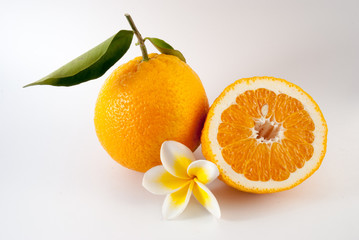 Orange test title