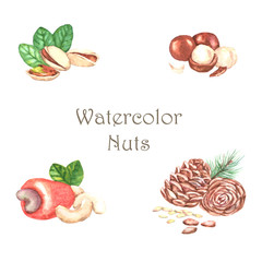 Hand-drawn watercolor illustration of watercolor nuts - pistachios, cashews, macadamia, pine nuts. Isolated on the white background
