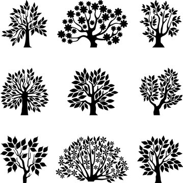 Assimetrical trees set II