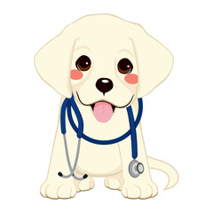 Cute golden retriever puppy dog as vet with stethoscope on his neck