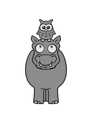 happy friends team bird owl head owl thick funny comic cartoon sweet little cute baby hippo happy child