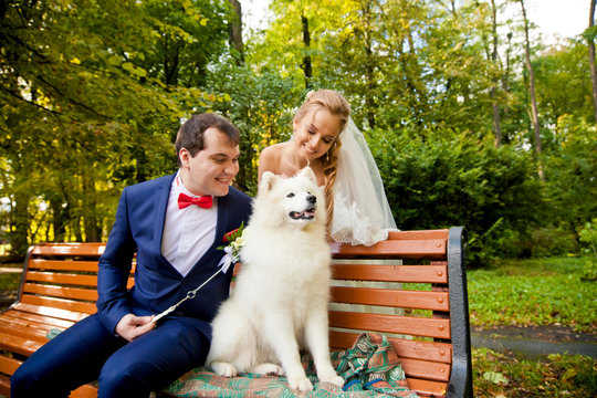 Tender wedding couple with cute white hasky