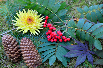 Herbst Dekoration Garten