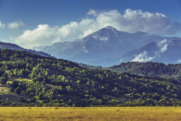 Naklejka premium Scenic morning landscape with ripe cultivated field and majestic Bucegi massif at the horizon in Transylvania region, Romania.