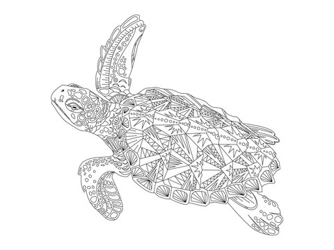Turtle coloring book for adults vector